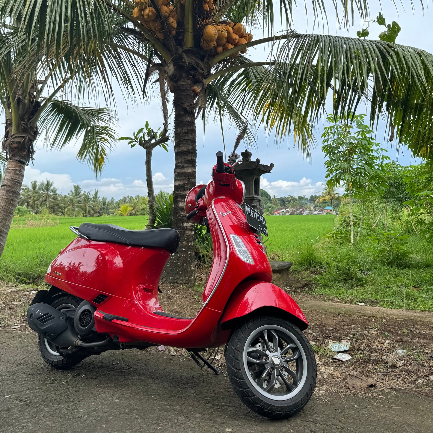 BALI - Ladies 5 Day Vespa Tour