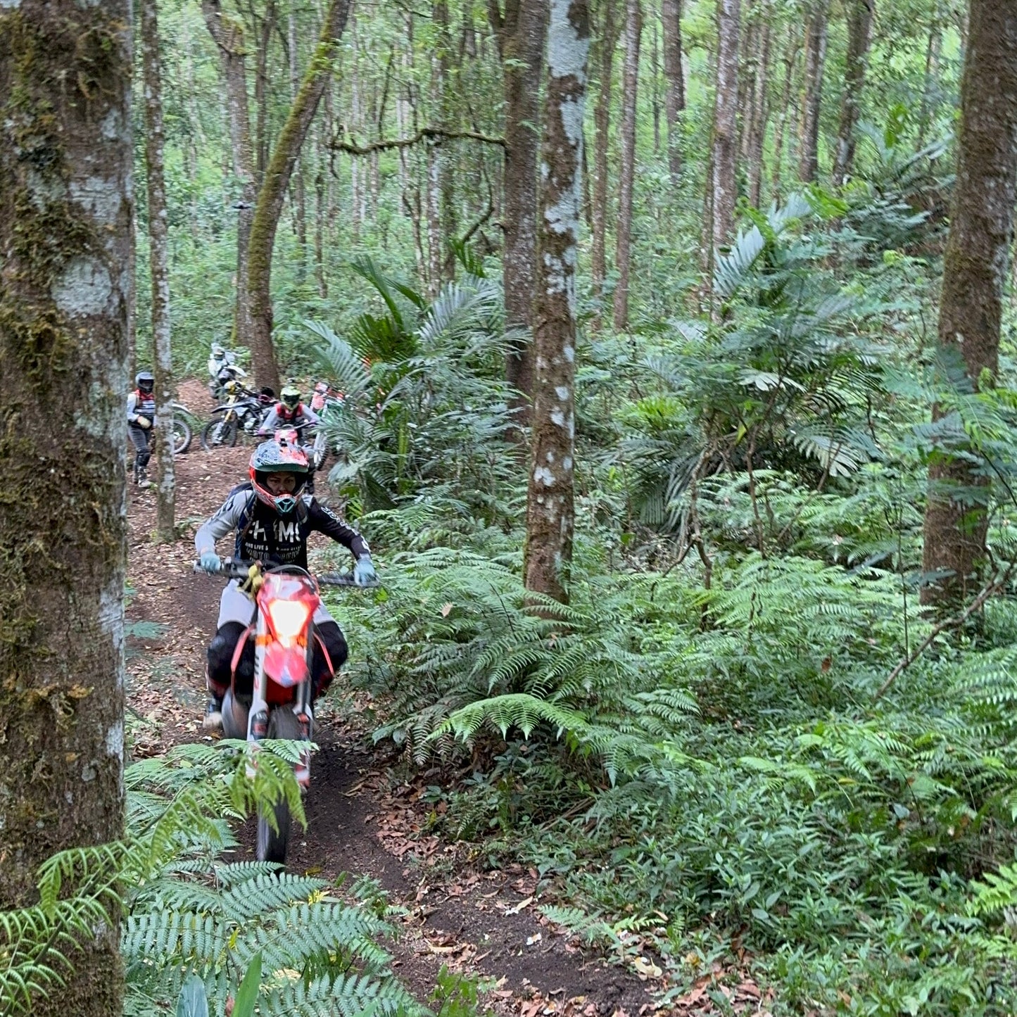 BALI - CnP Ladies Ride n Retreat Dirtbike Tour