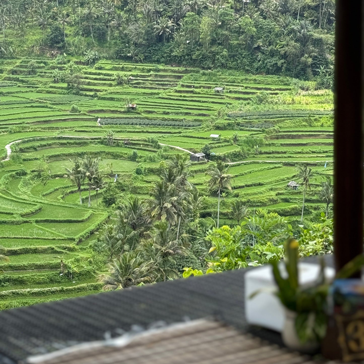 BALI - CnP Private Group Dirtbike Tour