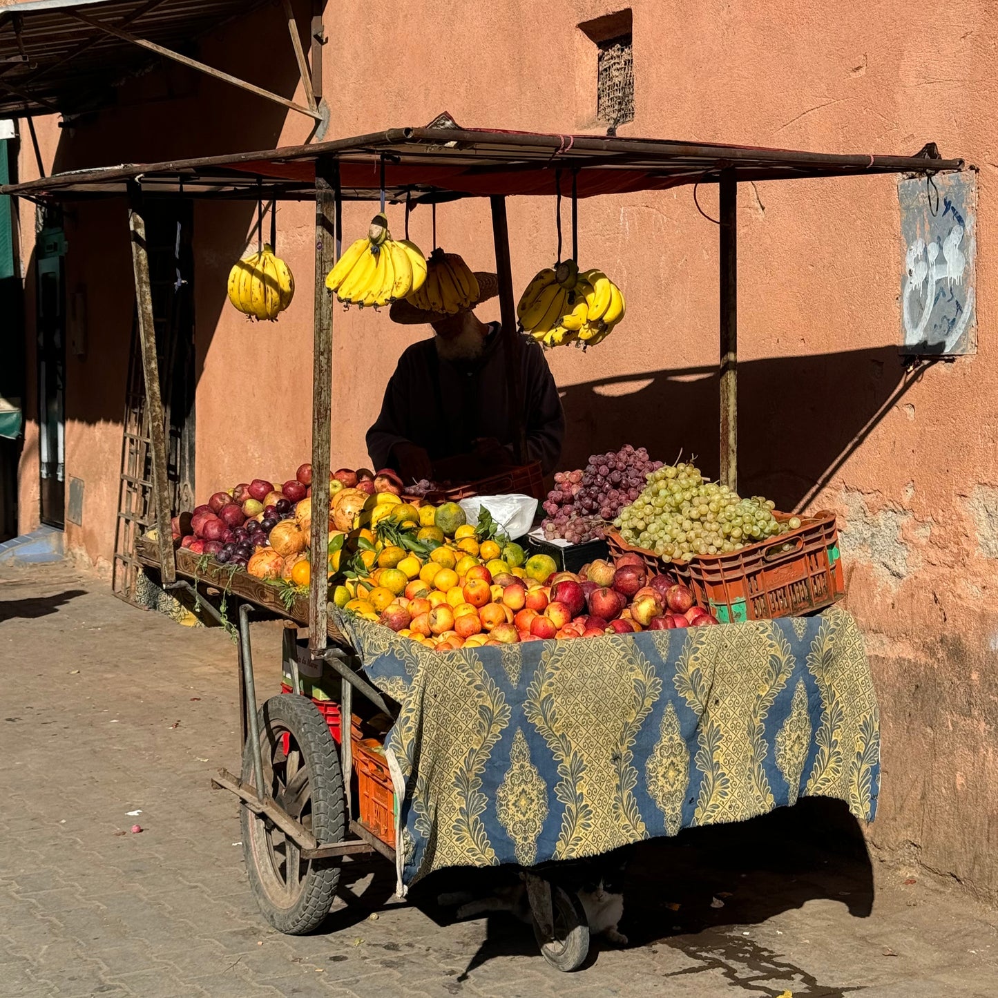 MOROCCO - Ladies 7 Day Dirtbike Tour