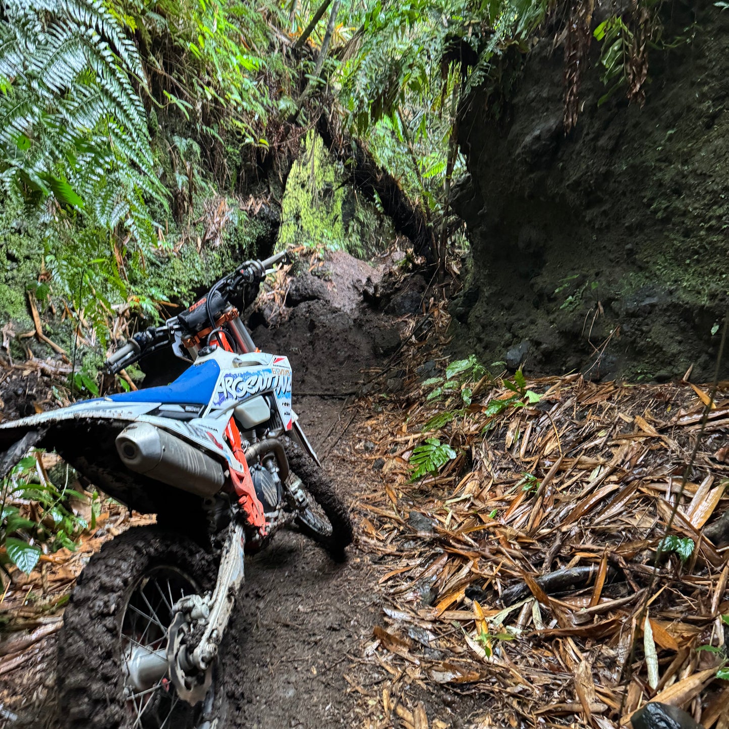 BALI - CnP Private Group Dirtbike Tour