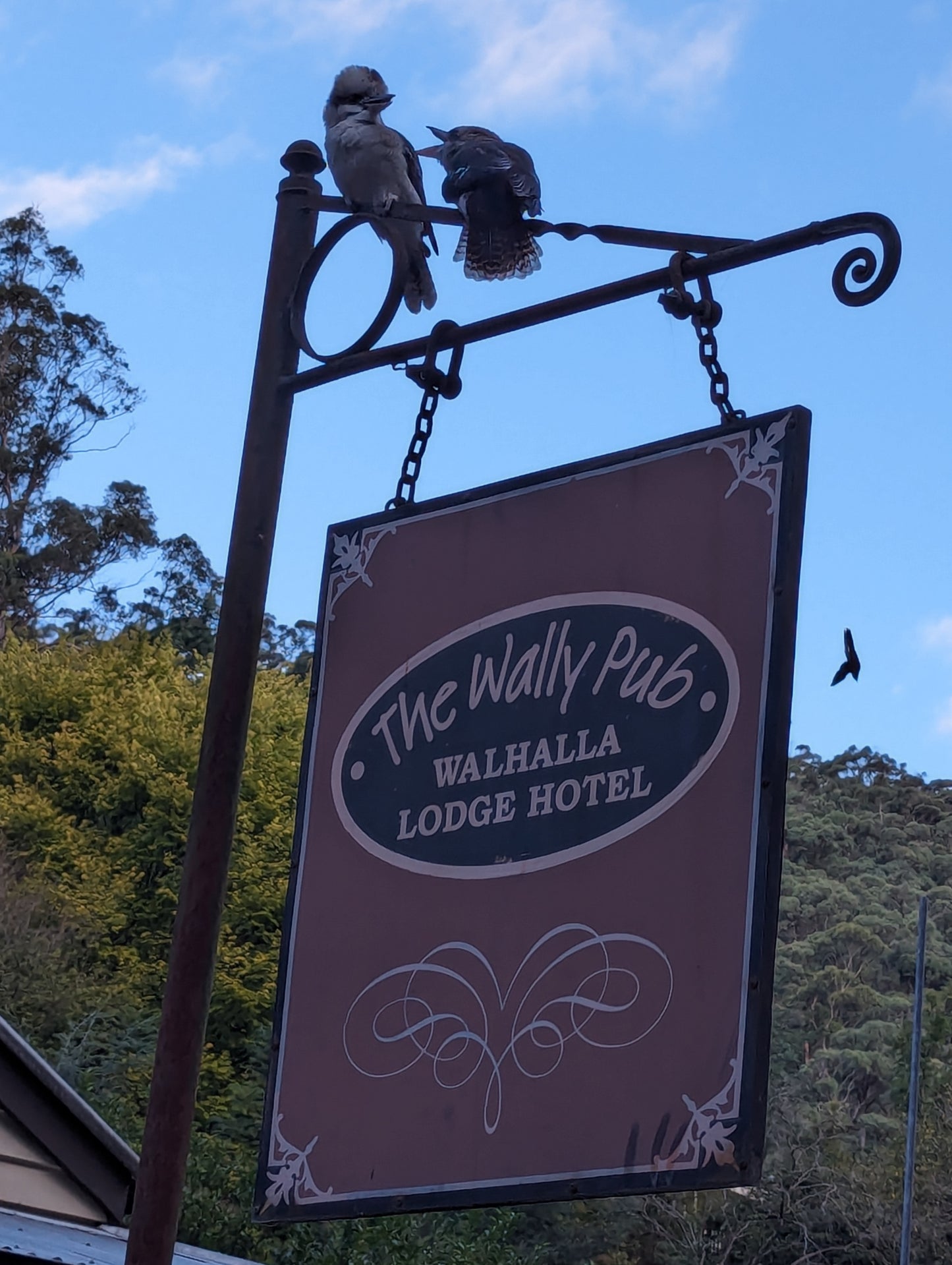 Ladies 3 Day Moto Camp Ride