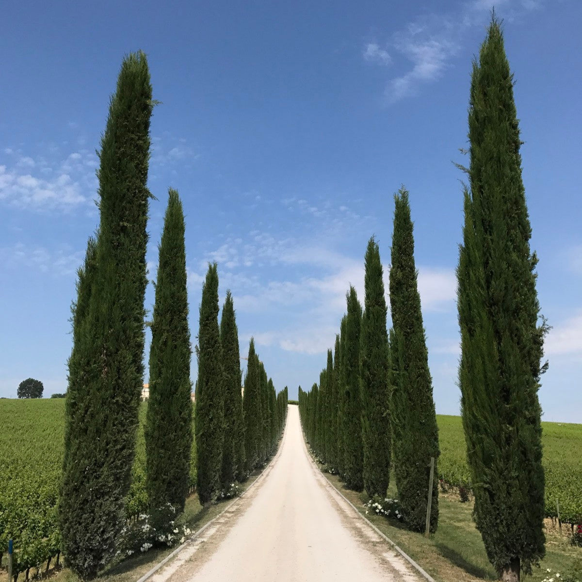 ITALY - Ladies 16 Day Motorcycle Tour