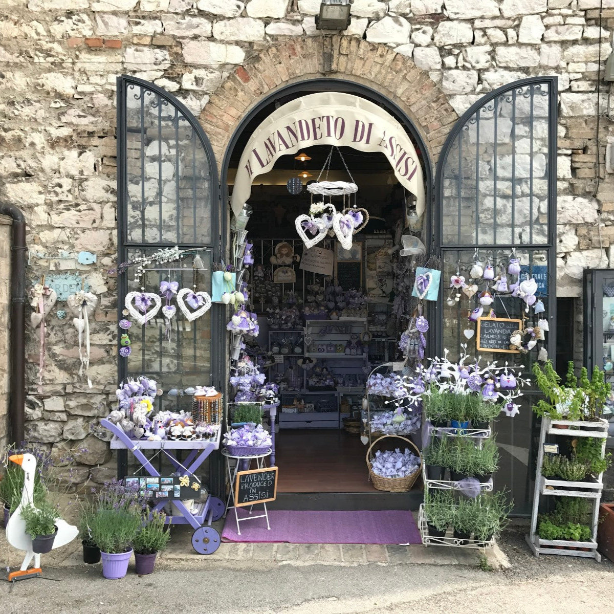 ITALY - Ladies 16 Day Motorcycle Tour