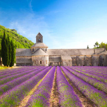 FRANCE - Ladies 16 Day Motorcycle Tour