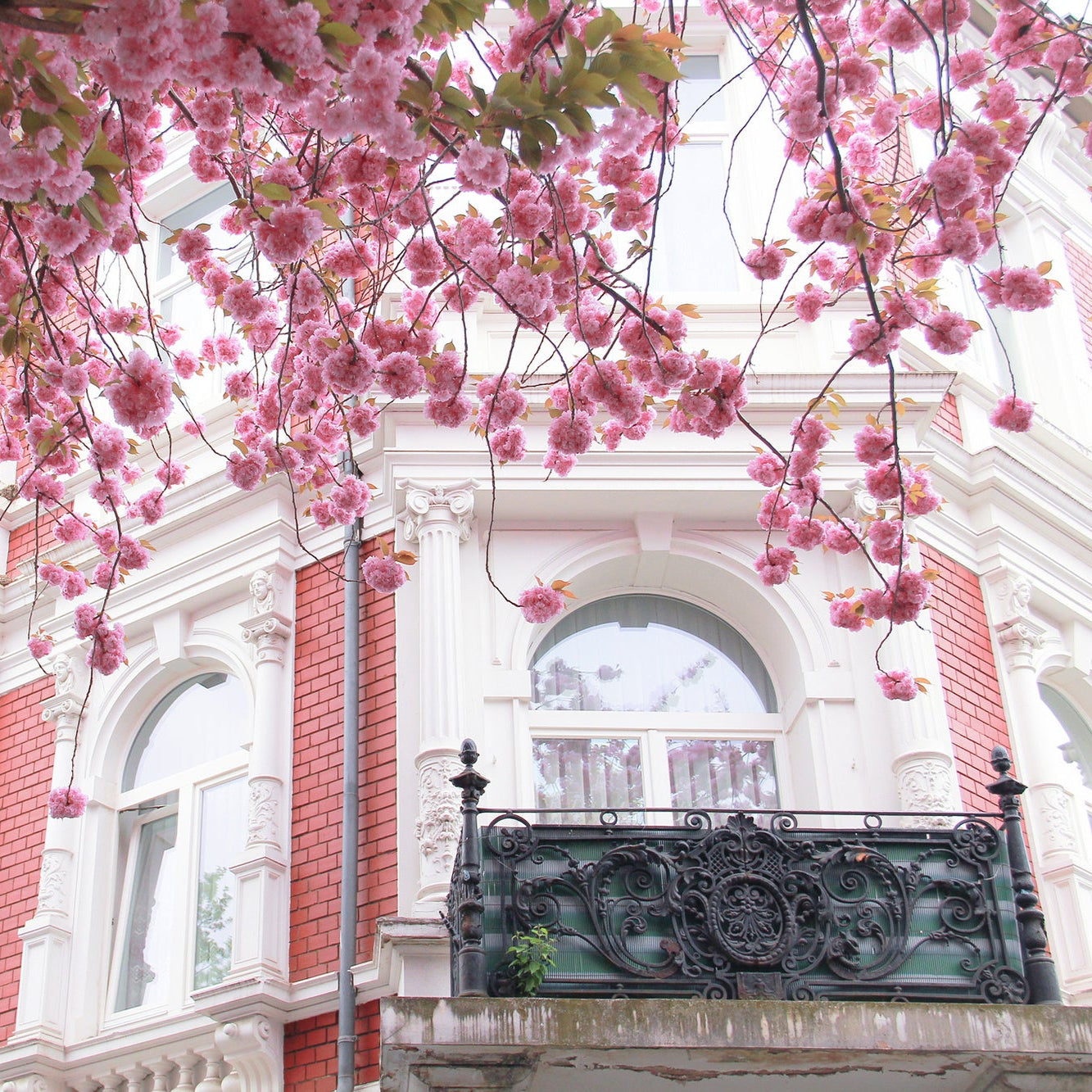 FRANCE - Ladies 16 Day Motorcycle Tour
