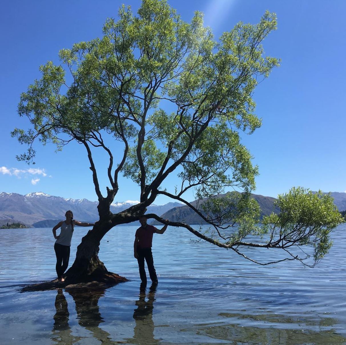 NEW ZEALAND - Ladies Motorcycle Tour
