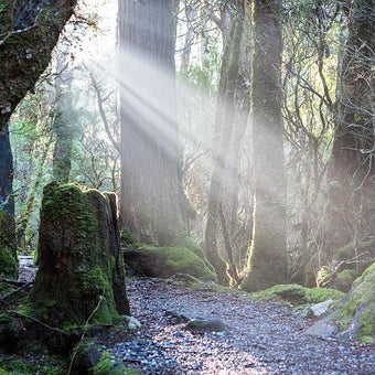 TASMANIA - Ladies 6 Day Motorcycle Tour