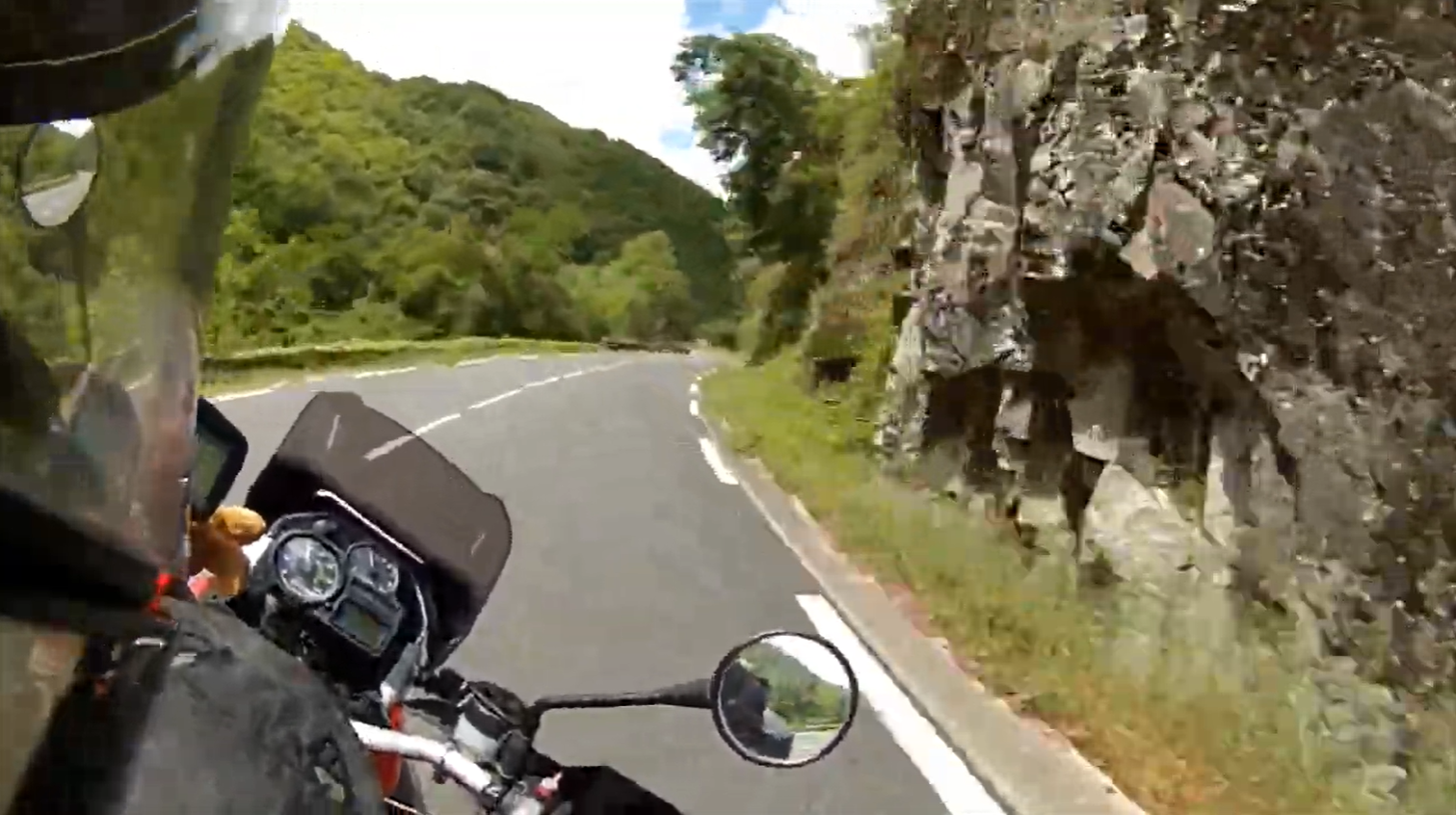 Load video: Rikki in the south of France