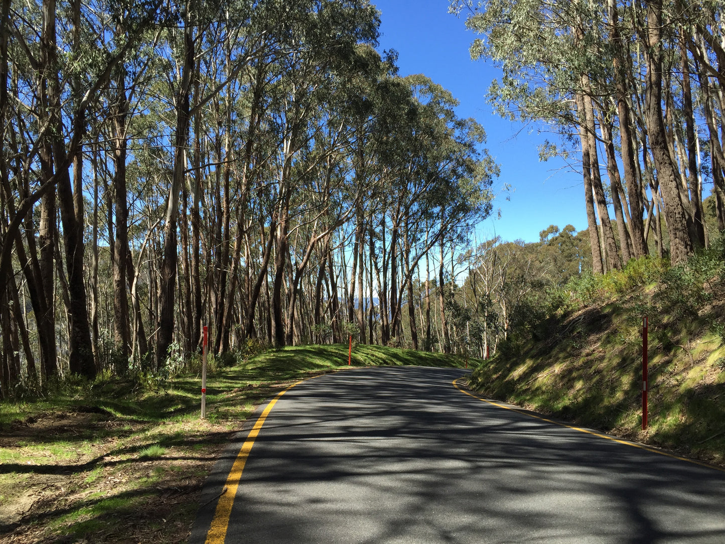 Ladies Victorian High Country Motorcycle Tour - REGISTER INTEREST