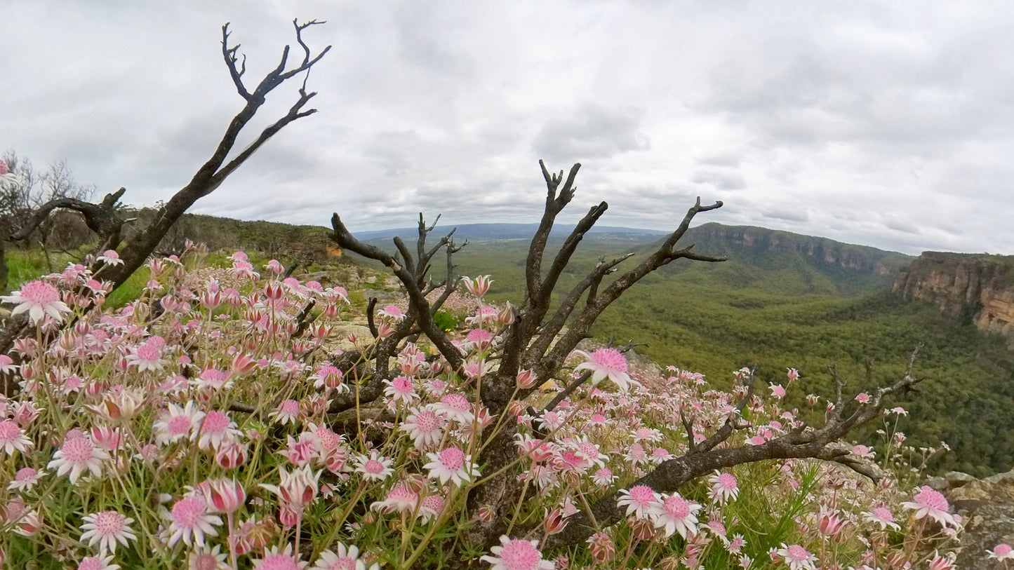 Ladies Victorian High Country Motorcycle Tour - REGISTER INTEREST