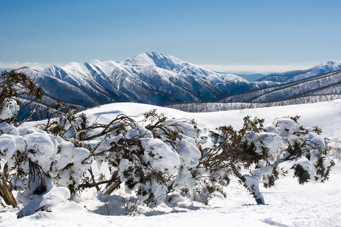 Ladies Victorian High Country Motorcycle Tour - REGISTER INTEREST