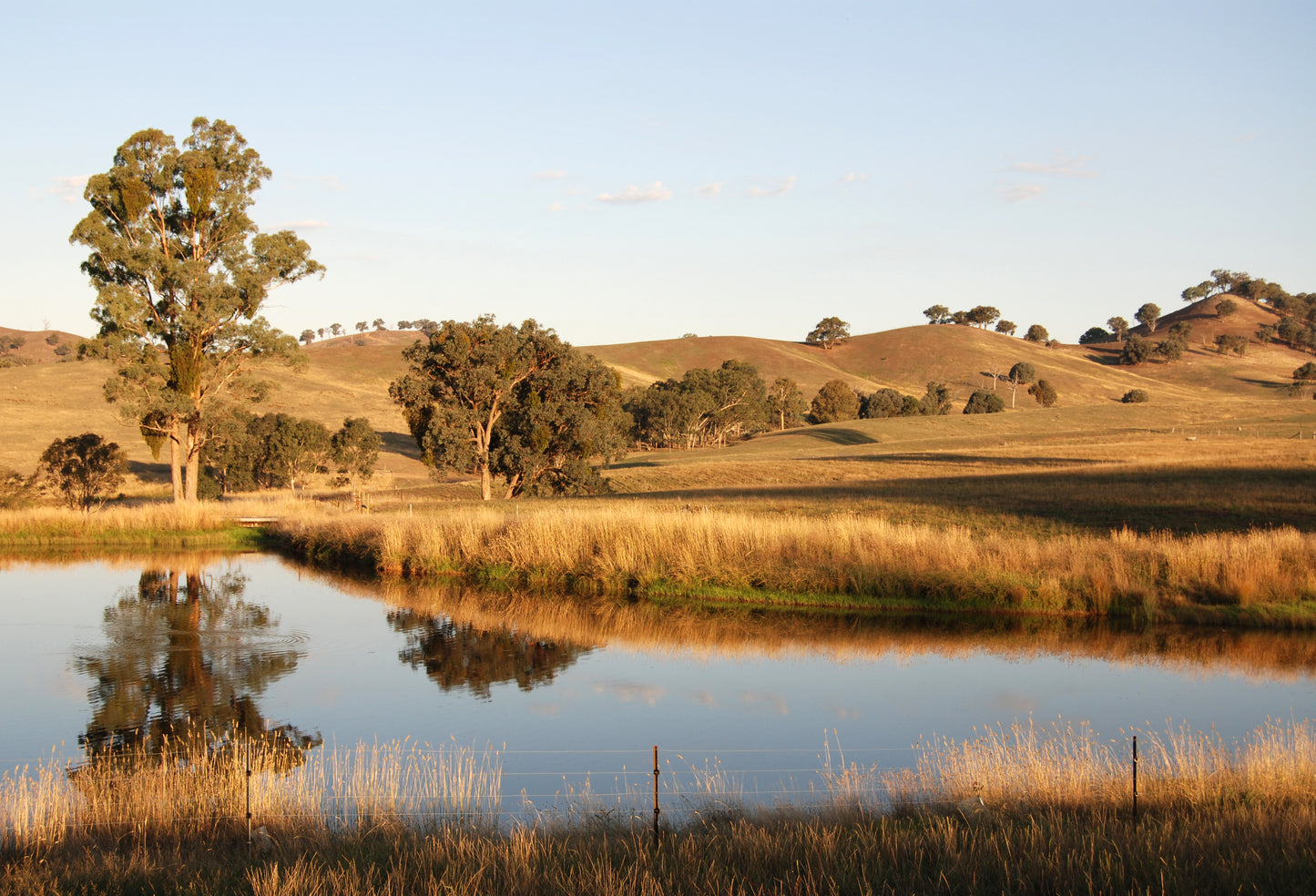 Ladies Victorian High Country Motorcycle Tour - REGISTER INTEREST