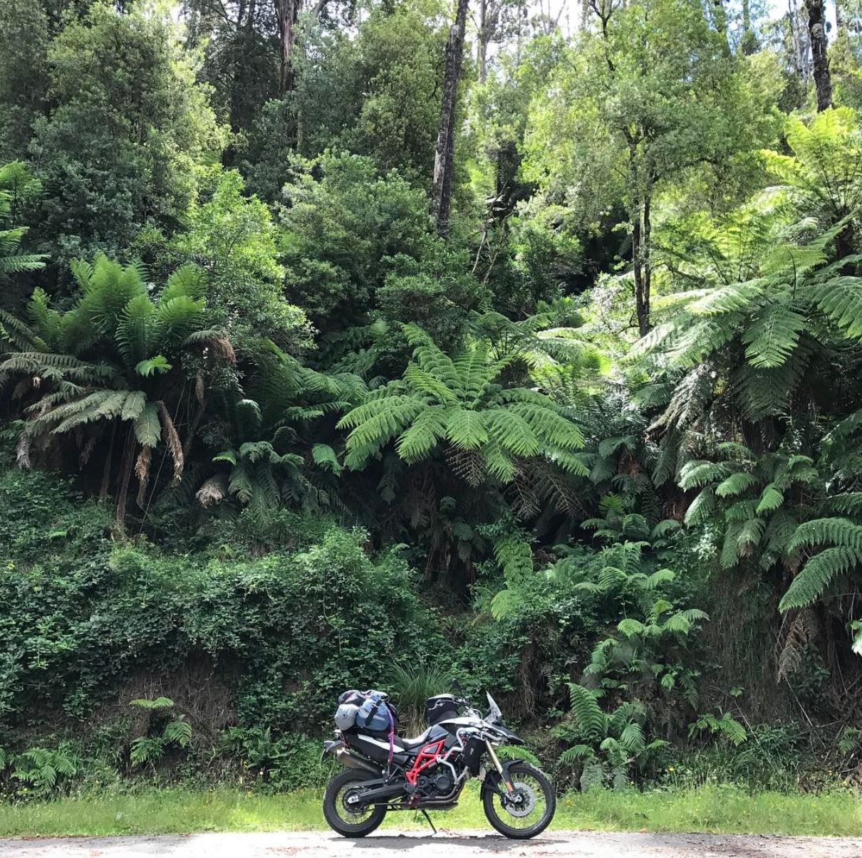 Ladies Victorian High Country Motorcycle Tour - REGISTER INTEREST